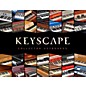 Open Box Spectrasonics KEYSCAPE Virtual Keyboard Collection Level 1