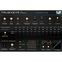 VI Labs True Keys American Grand Piano Virtual Instrument