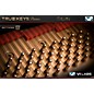 VI Labs True Keys Italian Gand Piano Virtual Instrument thumbnail