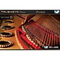 VI Labs True Keys German Grand Piano Virtual Instrument thumbnail