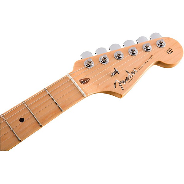 Open Box Fender American Professional Stratocaster Maple Fingerboard Electric Guitar Level 2 Black 190839757456