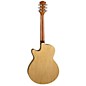 Open Box Luna Flora Rose Acoustic-Electric Guitar Level 2 Gloss Natural 190839184870