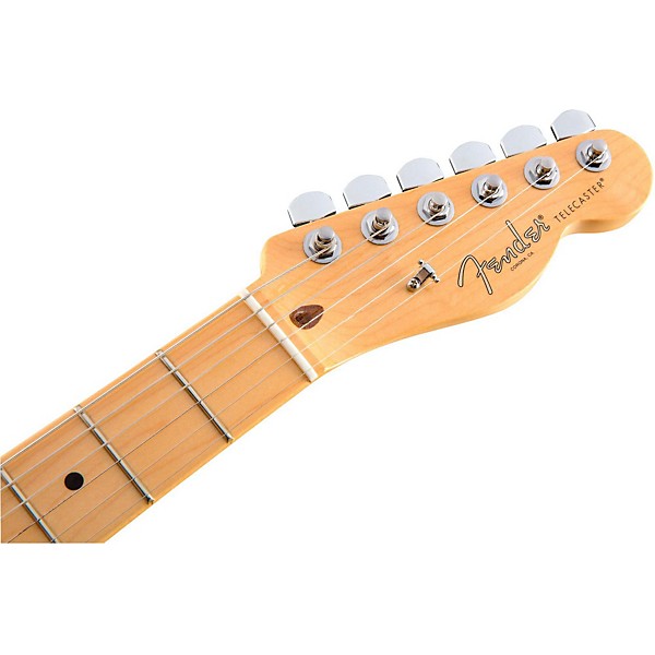 Open Box Fender American Professional Telecaster Maple Fingerboard Electric Guitar Level 2 Butterscotch Blonde 190839759085