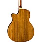 Open Box Luna Vista Bear Acoustic-Electric Guitar Level 1 Gloss Natural