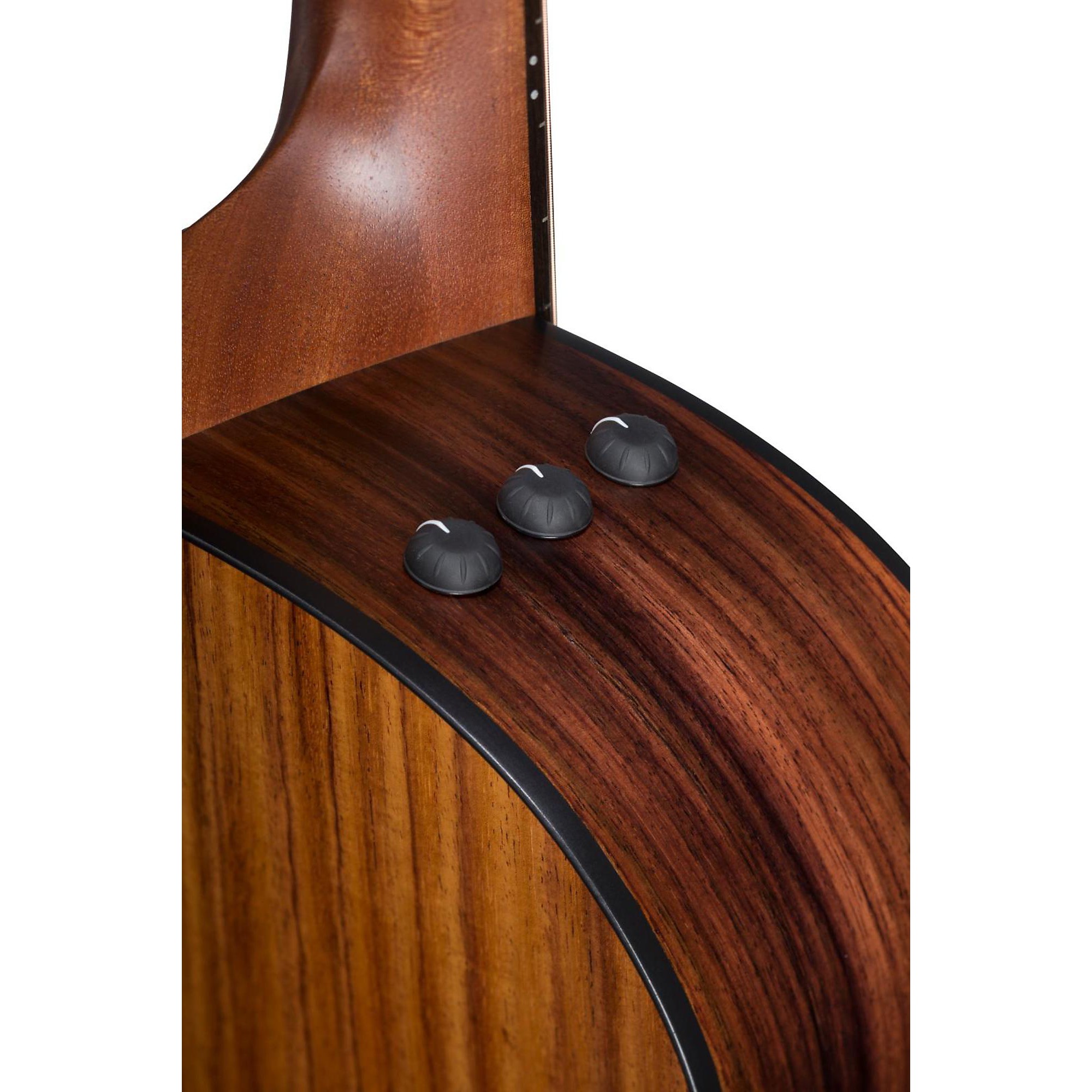 Taylor 100 Series 2017 Rosewood 110e Dreadnought Acoustic-Electric