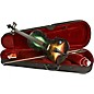 Open Box Rozanna's Violins Galaxy Ride Series Violin Outfit Level 1 4/4