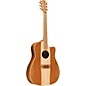 Cole Clark Fat Lady 2 Series Australian Eco Redwood/Blackwood Dreadnought Acoustic-Electric Guitar Natural