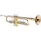 Open Box Giardinelli GTR-300 Student Bb Trumpet Level 2 Regular 190839355188 thumbnail