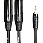Roland Interconnect Cable-3.5mm-Dual XLR (Male) 10 ft. thumbnail