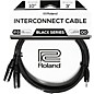Roland Interconnect Cable-3.5mm-Dual XLR (Male) 10 ft.