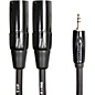 Roland Interconnect Cable-3.5mm-Dual XLR (Male) 3 ft. thumbnail