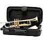 Open Box Allora ATR-250 Student Series Bb Trumpet Level 2 Lacquer, Lacquer 194744636400