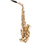Allora AAS-250 Student Series Alto Saxophone Lacquer