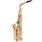 Open Box Allora AAS-250 Student Series Alto Saxophone Level 2 Lacquer 197881122621