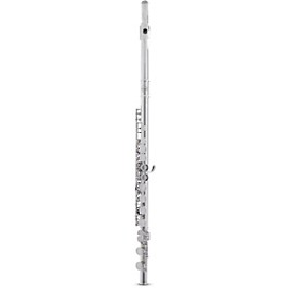 Allora AFL-250 Student Series Flute Offset G C-Foot