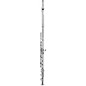 Open Box Allora AFL-250 Student Series Flute Level 2 Offset G, C-Foot 194744469923 thumbnail