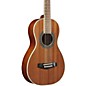 Open Box Ibanez Performance PN1MHOPN Mahogany Parlor Acoustic Guitar Level 2 High Gloss Natural 888366073575 thumbnail