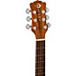 Luna Heartsong Parlor with USB Acoustic-Electric Guitar Natural