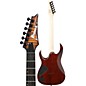 Ibanez RGA series RGA42FM Electric Guitar Flat Dragon Eye Burst