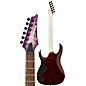 Ibanez RGA series RGA42FM Electric Guitar Transparent Purple Burst Flat