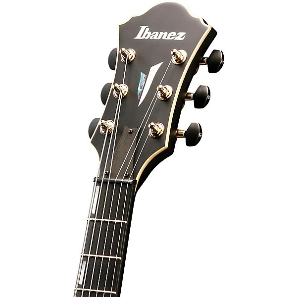 Ibanez AFC Contemporary Archtop Electric Guitar Flat Black