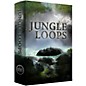 Umlaut Audio Jungle Loops thumbnail