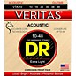 DR Strings Veritas - Perfect Pitch with Dragon Core Technology Custom Light Acoustic Strings (10-48) 3 Pack