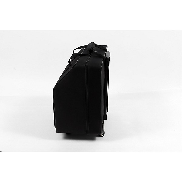 Open Box SofiaMari NAC-3412 Trolly Accordion Case with Telescopic Handle Level 3  197881488789