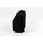 Open Box SofiaMari NAC-3412 Trolly Accordion Case with Telescopic Handle Level 3  197881488789