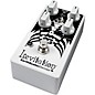 EarthQuaker Devices Levitation V2 Pedal