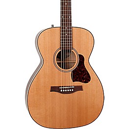 Seagull Coastline CH Momentum HG Acoustic-Electric Guitar Natural