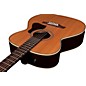 Open Box Seagull Coastline CH Momentum HG Acoustic-Electric Guitar Level 2 Natural 190839751256