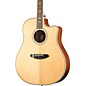 Open Box Breedlove Stage Dreadnought CE Acoustic-Electric Guitar Level 2 Gloss Natural 190839142160 thumbnail