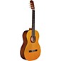 Open Box Cordoba Protege by Cordoba C1M Full Size Nylon String Guitar Level 1 Natural Matte