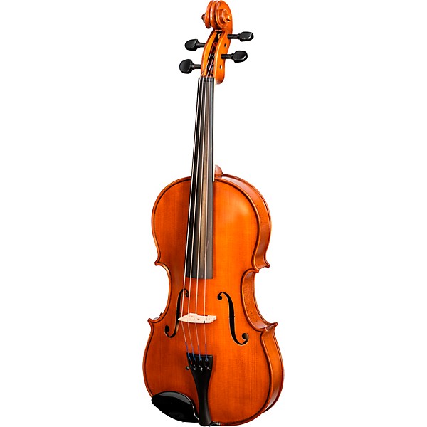Bellafina Viola OTF Niccolo Model Oblong Case/Brazilwood Bow 16 in.