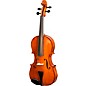 Bellafina Viola OTF Niccolo Model Oblong Case/Brazilwood Bow 16 in. thumbnail