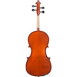 Bellafina Viola OTF Niccolo Model Oblong Case/Brazilwood Bow 16 in.