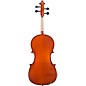 Bellafina Viola OTF Niccolo Model Oblong Case/Brazilwood Bow 16 in.