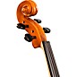 Bellafina Viola OTF Niccolo Model Oblong Case/Brazilwood Bow 16 in.