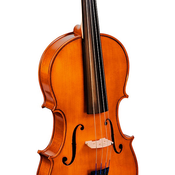 Bellafina Viola OTF Niccolo Model Oblong Case/Brazilwood Bow 16 in.