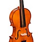 Bellafina Viola OTF Niccolo Model Oblong Case/Brazilwood Bow 16 in.