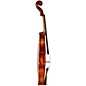 Open Box Strobel ML-605 Master Series Violin Outfit Level 2 4/4 194744731129