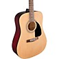 Fender FA-100 Acoustic Guitar with Gig Bag Bundle Natural