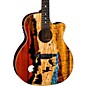 Open Box Luna Vista Deer Tropical Wood Acoustic-Electric Guitar Level 1 Natural thumbnail