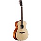 Open Box Alvarez AG60AR Grand Auditorium Acoustic Guitar Level 2 Natural 190839908544