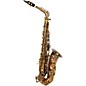 Sax Dakota SDA-XR 82 Professional Alto Saxophone Raw Bronze