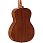 Alvarez Delta DeLite Small-Bodied Acoustic-Electric Guitar Natural