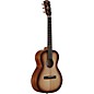 Open Box Alvarez Delta DeLite Small Bodied Acoustic-Electric Guitar Level 1 Natural