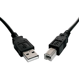 Tera Grand Black USB 2.0 A Male to B Male Cable 10'