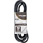 American DJ EC163 16 Gauge IEC Power Extension Cord 10 ft. thumbnail